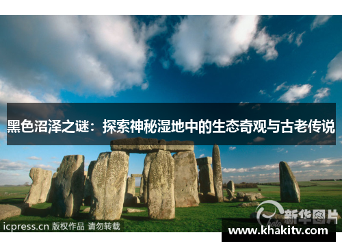 黑色沼泽之谜：探索神秘湿地中的生态奇观与古老传说